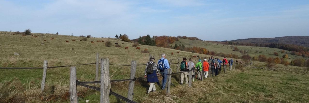 Wanderungen | Herz-Kreislauf-Initiative Erlangen e. V.